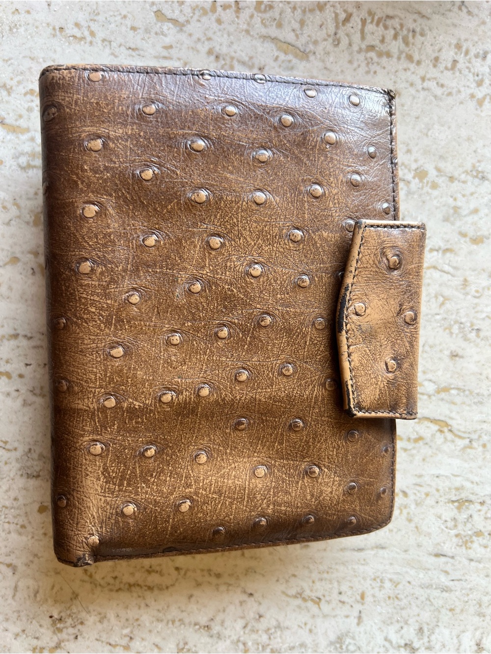 Brown Ostrich-Texture Leather Passport Wallet - Travel Organizer